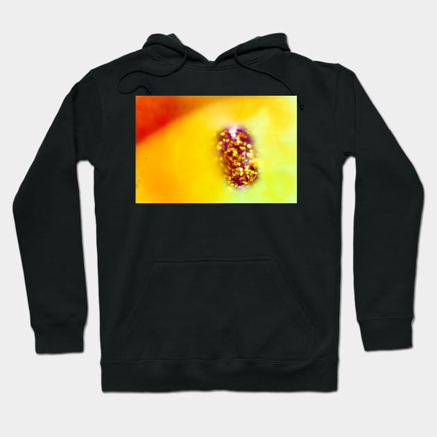 Orange and Yellow Oil and Water with Sparkles Hoodie by heidiannemorris